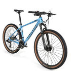Carbon Fiber Mtb Bicycle 24S 36speed XC Riding for men