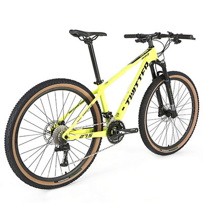 OEM 30 Speed 29er Carbon Fiber Mountain Bike For Men And Women