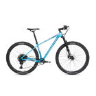 Carbon T800 Mountain Bike With Sram SX 12speed Transmission Mtb For Men