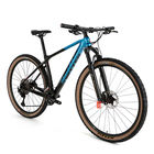 SRAM GX 12Speed Groupset Carbon Fiber Mountain Bike , 27.5 Mountain Bike For Adult
