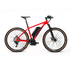 Single Speed Alloy Frame Mountain Bike 48V Lithium Battery Electric 750W Mid Motor
