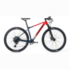 SRAM NX 12 Speed Carbon Fiber Mountain Bike , 29 Inch MTB Cycle T900 Carbon