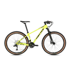 High Modulus Carbon Fiber MTB Bicicleta 29er Mountain Bike 30 Speed