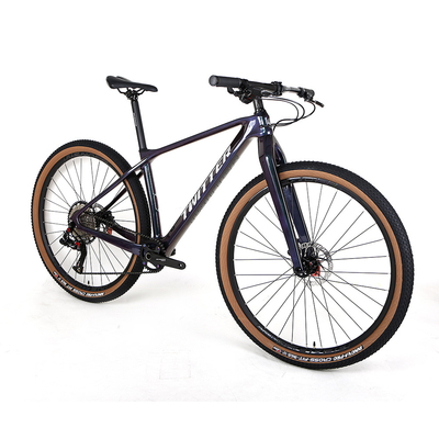 TWITTER T800 Carbon Fiber Mountain Bike SX-12 Speed Groupset hydraulic disc brake